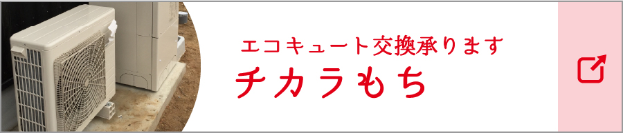 チカラもち